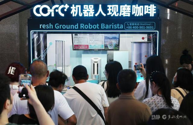 动静影像丨2025数博会，科技盛宴引贵阳市民争相打卡