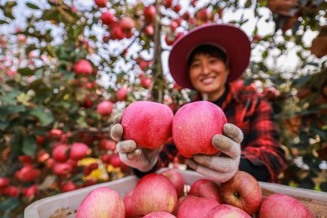 乘着高铁游威海 | 下一站，荣成！