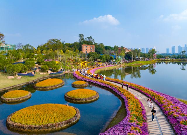 广西南宁：冬日花海醉游人