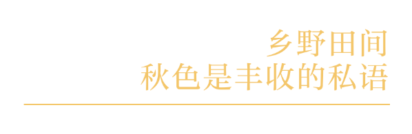金秋有礼 绵阳有你 ‖ 盐亭秋色来：九月风起时，秋韵如诗