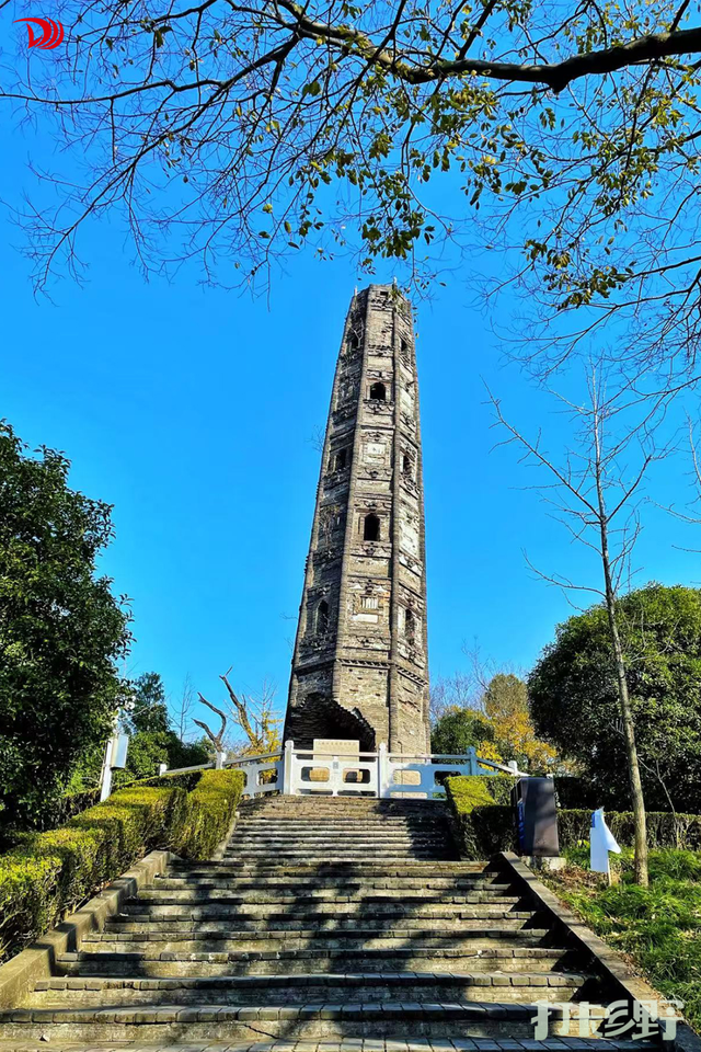 打卡乡野丨新年第一站，去上海离宇宙最近的村子，仰望星空，脚踏田野，开启元气新年