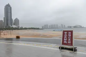 台风“蝴蝶”来袭 广东如何应对图片