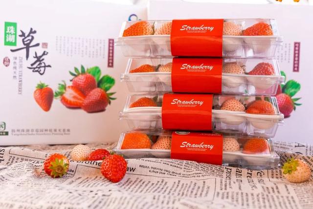 扬州寒假亲子宝藏地图：从奇幻乐园到千年运河，一次收集N种快乐！