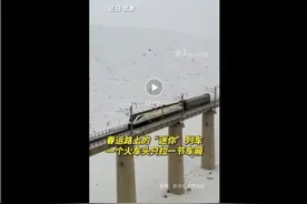 【甘快看】起猛了，这火车头怎么只拉一节车厢？网友：“小可爱”，很可爱！图片
