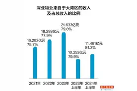 背靠深圳国资委 深业物业“四战”港交所图片