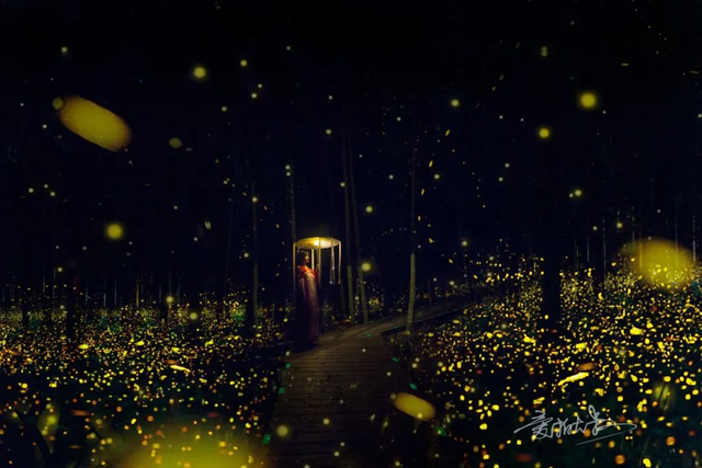 周末去哪儿？游世遗、逛古村！三明银发专属景区优惠，凭身份证解锁～