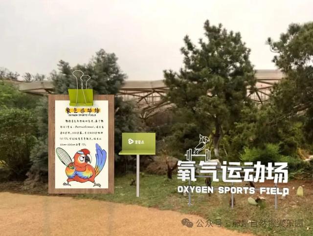 内含福利！江宁这个主题乐园月底开放→