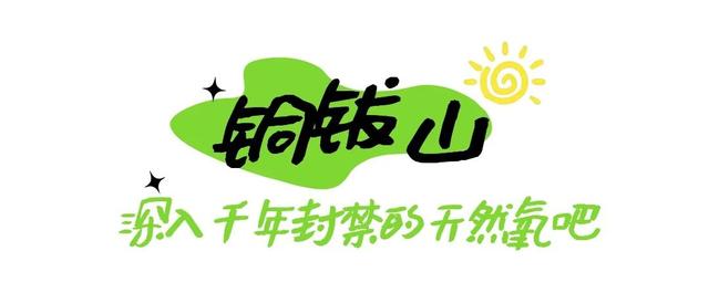 上饶冬日山野真的绝美，赶紧进山“Forest walk”一下~