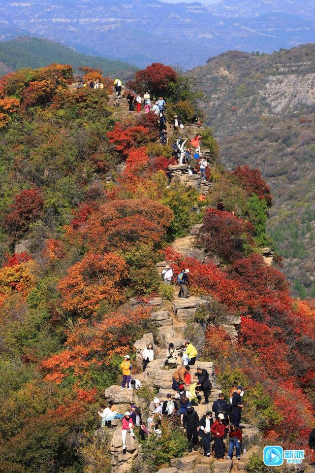 来潍坊青州锯齿崖，共赴一场秋日绮梦