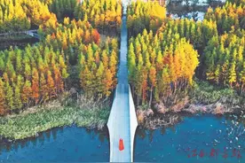 南昌喊你来“看海”图片