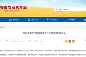 预防“倒春寒” 应当这样做！泰安发布春季蔬菜生产管理技术指导意见图片