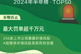 A股环境风险榜｜2024年上半年256家上市公司登榜 整体环境风险表现有所改善图片
