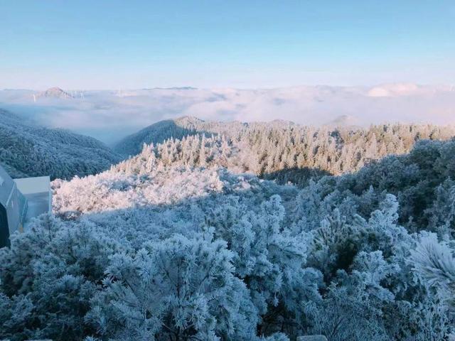 美到词穷！郴州首场雾凇惊艳上线