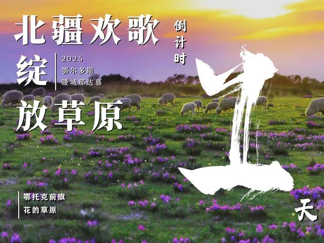 鄂尔多斯这个宝藏打卡地可以乘坐公交直达啦→