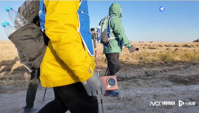 戈壁凯旋！深圳20村集结徒步收官，淬炼新一代“深圳精神”