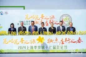 金色海洋已准备好了，2024上海奉贤第十七届菜花节今日开幕→图片
