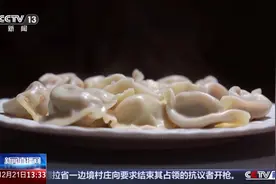 🥟就说老祖宗“严选”不能只因为香！饺子前身竟是张仲景做的药膳图片