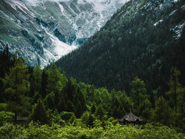 福利来袭！黑水・达古冰川景区向世运会参与者免门票开放～​
