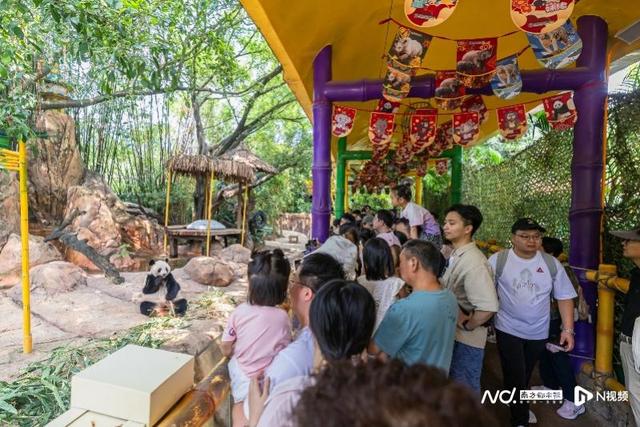 哪些是全球十大国宝动物？国庆在这里探索奇妙动物世界