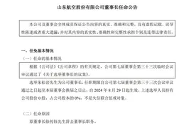 山东航空换帅图片