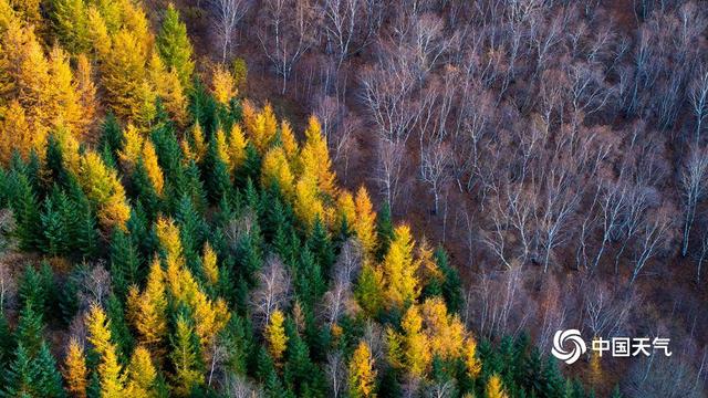 层林尽染 河北崇礼山峦披“彩衣”