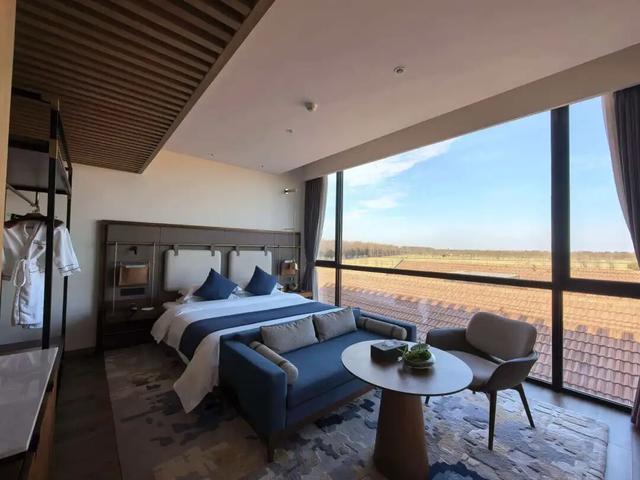 热搜！寒潮收尾！周末最高21℃！来光明东滩源、黄山茶林场兜兜…最低2折特惠！太值了！