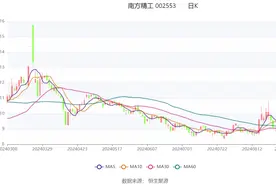 南方精工：2024年上半年净利润同比增长94.33% 拟10派1元图片