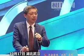 巴曙松：中国碳市场在全球碳市场推动企业减排中发挥重要角色图片