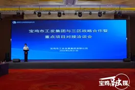 5个新质生产力项目落户宝鸡 为发展注入新活力图片