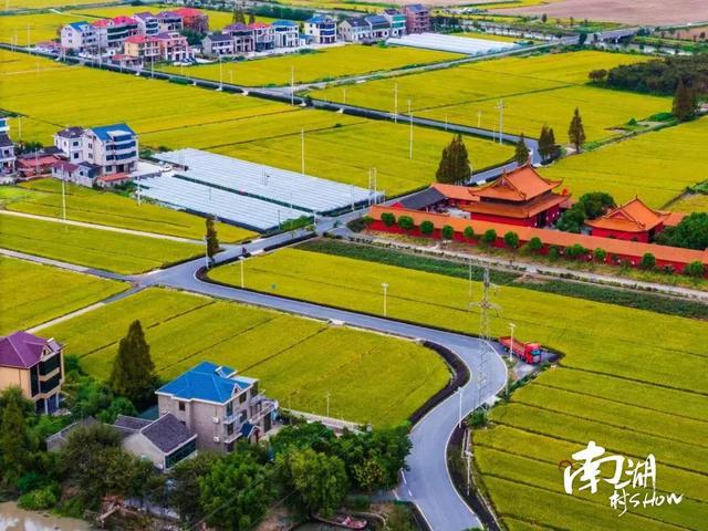 南湖村show｜水韵乌桥
