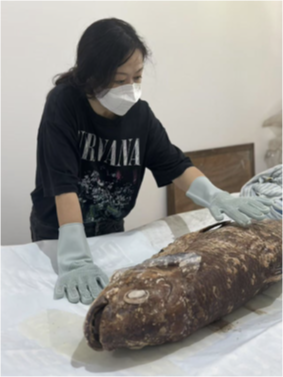 这个小盒子里的化石材料	，产生了非常多举世瞩目的成果，有十几篇顶刊文章｜卢静 一席少年第36位讲者