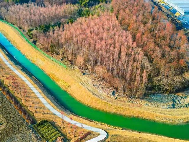 武进绝美打卡地！在嘉泽、湖塘、雪堰、前黄……