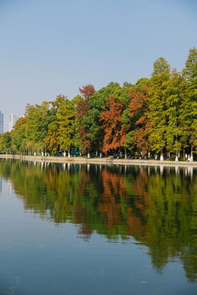 东湖秋日图鉴②｜邂逅听涛，定格秋的独家记忆