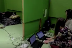 你家的狗真的能“听懂人话”！新研究：与人类生活的狗具备一定词语理解能力图片