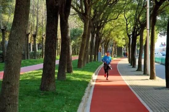 这三条慢跑路线，让你享受申城秋日风景