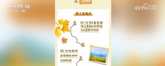 赏秋、捡秋点亮秋日文旅 别样新体验助力旅游市场持续火热