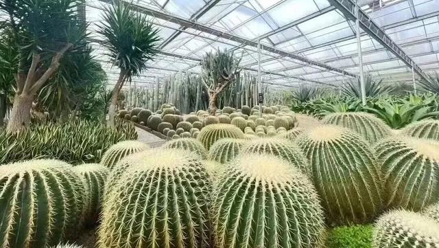教师凭证免票、打折！宁波多景区最新消息