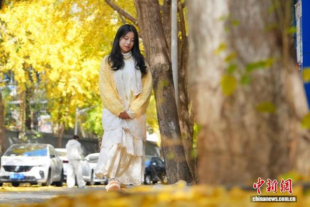 长沙昔日静巷成网红打卡地 金黄银杏扮靓冬日