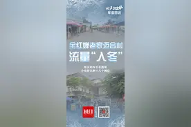 年度回访·回声2024｜全红婵老家迈合村流量“入冬”：每天约有千名游客，小吃街只剩十几个摊位图片