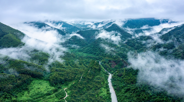 去山谷里造一个梦