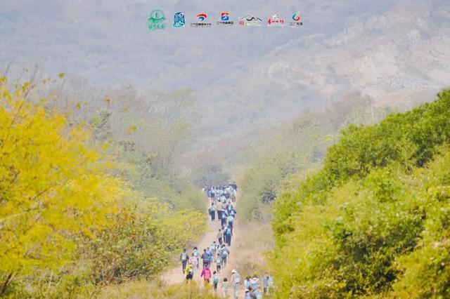 一场跨越汤山的 “自然奔赴”→