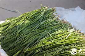 舌尖上的春天 | 头茬韭菜：春天的第一抹鲜香图片