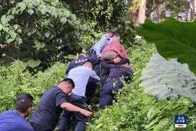 八旬老人迷失山林被困，龙岗公安连续奋战6天5夜成功营救图片