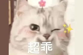 “代驾我找了，我又让他走了……”图片