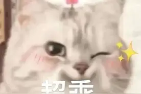 “代驾我找了，我又让他走了……”图片