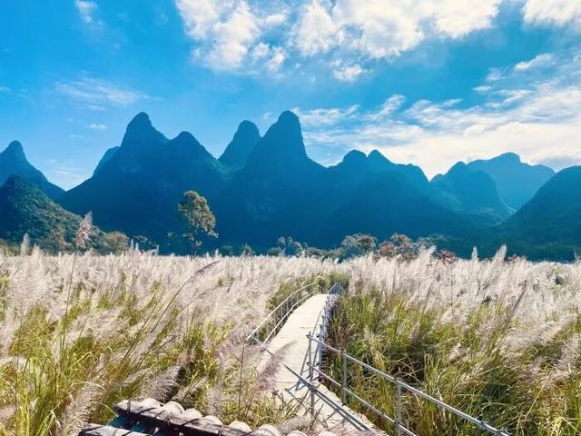 七星区朝阳乡浪漫秋景引客来