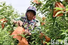 初夏农忙正当时图片