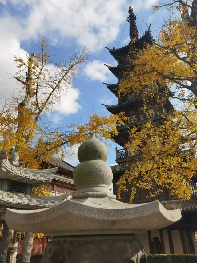 看直播，带“亭林小顾”回家