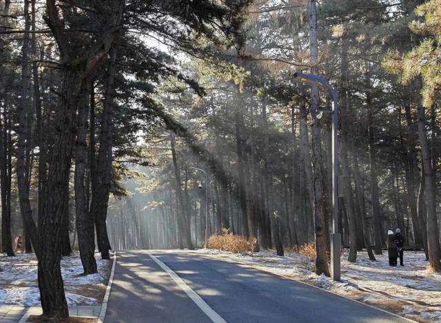 雪国净月 心归之处