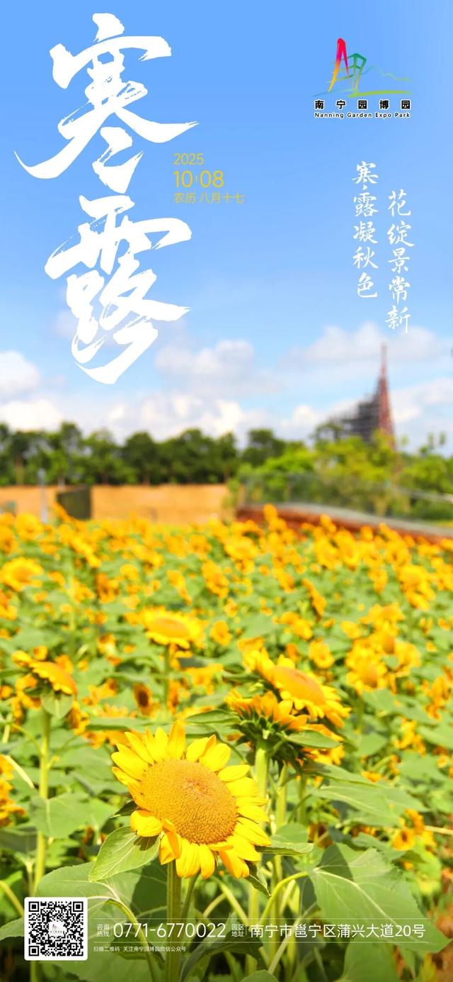 寒露凝秋色 花绽景常新